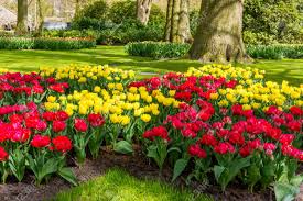 This page is for those who likes to do gardening indoor and outdoor. Flower Garden Beautiful Park Garden In Spring Beautiful Garden Flowers Stock Photo Picture And Royalty Free Image Image 73008290