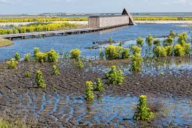 Wil je op marker wadden overnachten? Marker Wadden Uniek Wandelgebied Weer Toegankelijk