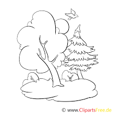 Malvorlagen Fur Kinder Ausmalbilder Wald Kostenlos Page Of