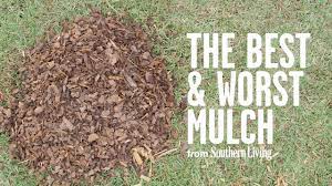 Mulchworx mulch color concentrate restores old faded mulch to a beautiful, freshly landscaped appearance. The Best And Worst Mulch For Your Garden Southern Living