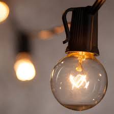 Globe String Lights Clear G40 Bulbs Yard Envy