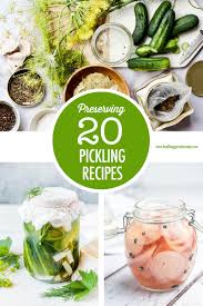 From easy refrigerator pickles and bread and butter pickles, to pickled jalapenos and peaches, these pickling. 20 Pickling Recipes Food Bloggers Of Canada