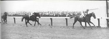 Even Stevens 1962 Melbourne Cup Melbourne Cup Winners Melbourne Cup Horse Racing