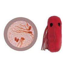 Robot Check Giant Microbes Microbes Popsicle Crafts