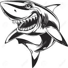 Black And White Shark Teeth Clipart Vector Illustration Toothy White Shark Shark Illustration Cartoon Drawings Shark Art