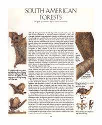 Dougal Dixon After Man A Zoology Of The Future Pdf Zoology Alien Concept Art Illustrated Words