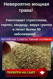 Neveroyatno Moshnaya Trava Unichtozhaet Streptokokk Gerpes Kandidu Virus Grippa I Lechit Bolee 50 Zabolevanij Podrobnee How To Dry Basil Health Health Beauty