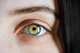 Glaucoma is a leading cause of blindness for people over 60 years old. What Is Glaucoma