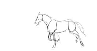 Honeybunnss Horse Animation Horse Drawings Horse Art