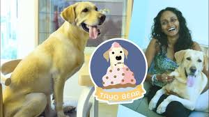 Check spelling or type a new query. Life Online Sri Lanka S Latest Lifestyle Food Factor Fashion Beauty Updates Life Lk