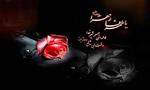 نتیجه تصویری برای هلما لقب کیست معنی اسم هلما