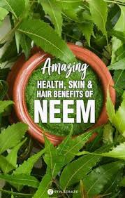 Health benefits of neem antibacterial potential: 54 Natural Health Tips Ideas Natural Health Tips Natural Health Health Tips