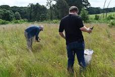 Volunteer Morning: Sand Ridge Savanna Nature Preserve
