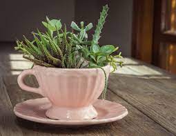 We're in the midst of unpacking our new house, and i've been coming across tons of things that i had forgotten i had. Simple And Easy Diy Vintage Teacup Planter For Your Indoor Garden