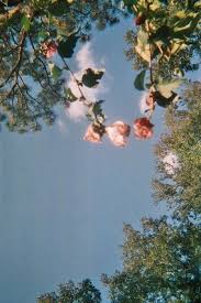 Tons of awesome sky hd aesthetic wallpapers to download for free. Aesthetic Sky And Wallpaper Image 6616979 On Favim Com