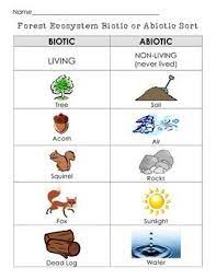 Pin On Classroom Science