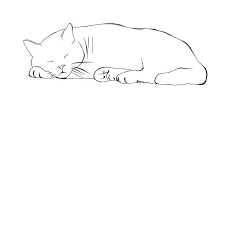 Cat Sleeping White Cat Line Art Pillow Cover T Shirt Art Drawings Cat Drawing Line Art Drawings