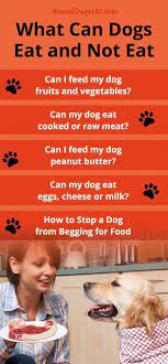 What Can Dogs Eat And Not Eat Can Dogs Eat Dog Eating Fruits For Dogs