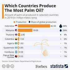 As malaysia's palm oil industry recently celebrated its 100th anniversary in 2017, palm oil has grown to be the backbone of the malaysian so, what would the next 100 years of palm oil in malaysia be like? Which Countries Produce The Most Palm Oil Infographic