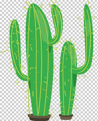 Bungalow rose clarine decorative tabletop ceramic cactus finish: Cactaceae Green Erg Plant Png Clipart Background Green Cactus Cactus Vector Desert Plants Download Free Png