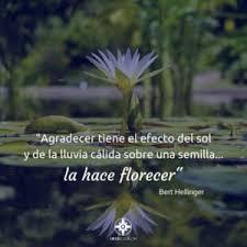 Gracias Ocio Y Tiempo Libre Frases Mensajes Positivo