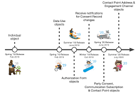 Mastering Salesforce Consent Management Cloudkettle