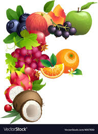Letter F Composed Of Different Fruits With Leaves Vector Image On Vectorstock Different Fruits Lettering Alphabet Illustration