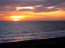 See more ideas about virginia, virginia is for lovers, james monroe. Virginia State Popular Song Sweet Virginia Breeze