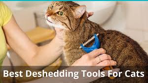 Best Deshedding Brushes And Tools For Cats Reviews Ratings