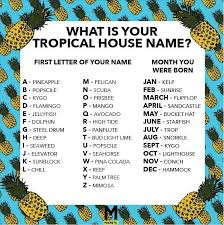 We Made You A Tropical House Name Generator Business Name Generator Ideas Of Business Name Generator Business Funny Name Generator Silly Names Funny Names