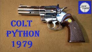 Image result for Warm White 1979 Colt