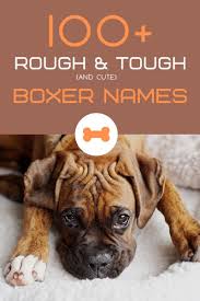 Check mark for standard mark. 100 Rough And Tough Boxer Dog Names Pethelpful By Fellow Animal Lovers And Experts