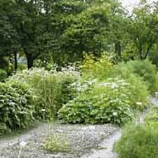 Botanischer garten an der neuen wenzelwand. Botanischer Garten On Twitter Ubernehmen Sie Eine Beetpatenschaften Im Botanischen Garten Oberholz Grossposna Http T Co Gt9jsduh