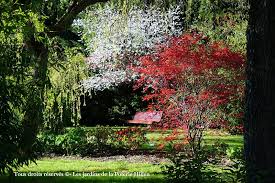 Il met au devant vos pratiques et. Cerisier Et Erables Au Jardin Du Nord