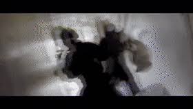 Watch as we fight off all the mr. Best Fbi Meme Gifs Gfycat