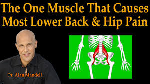 The back muscles are anatomically layered into superficial (extrinsic) and deep (intrinsic) muscles. The One Muscle That Causes Most Lower Back Hip Pain Dr Mandell Live Stream Youtube