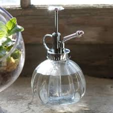 Glass Plant Mister It Would Make Me Feel So Fancy Misting My Plants With This Glass Plant Mister Plant Mister Plants In Bottles