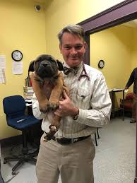 Your answers will help us determine which vaccinations rabies shots for your cat and dog are required by law in all states. West Side Pet Clinic Home Facebook