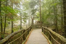 Book your hotel in eifel national park online. Wilder Kermeter Und Wilder Weg Nationalpark Eifel