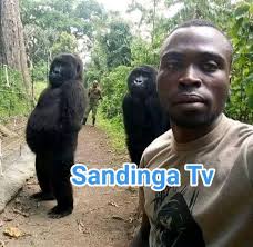 Moçambique, Avança Com Venâncio Mondlane