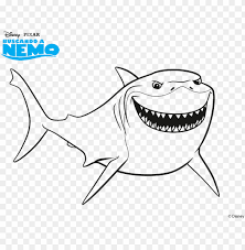 Pictures of celebrities for coloring to download. Bruce Nemo Coloring Book Drawing Shark Tiburon Buscando A Nemo Dibujo Png Image With Transparent Background Toppng