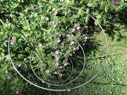 Beloved for their abundant blooms, the beauty of their exquisite flowers, their delightful. Peony Plant Support Small The Hillside Gardens Hoe Co