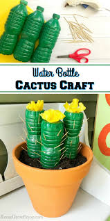 Overwatering a moon cactus can lead to root rot or mealybugs. Water Bottle Cactus Craft Reuse Grow Enjoy