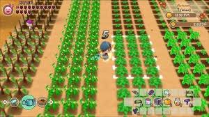 Story Of Seasons Friends Of Mineral Town Standard Edition Nintendo Switch 82042 Best Buy In 2020 Nintendo Switch Cool Things To Buy Find Romance