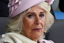 As Queen Camilla turns 77, how stepping up during King Charles's cancer  battle has finally secured her position as a respected consort and  comforting 'grandmother of the nation'