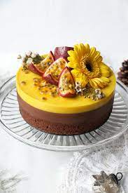 Chocolate Passion Fruit Entremet Cake Vegan Gluten-free - Nirvana Cakery Recipe Passion Fruit Cake Passion Fruit Mousse Chocolate Fruit Cake
