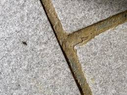 How To Clean Kitchen Grease From Tile Grout Hunker Tile Grout Grout Sealer Grout Cleaner
