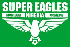 Eagle abstract logo design vector template linear style. Super Eagles Logos