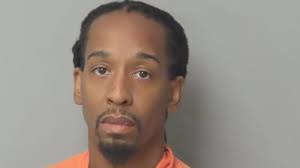 Woman in ICU with brain injury after metal bracket flies off a roller  coaster, hits her in the head