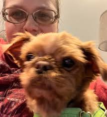 Hypothetical Fight Club with Celebrities